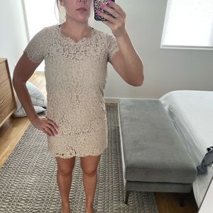 Joie Susina Lace Dress